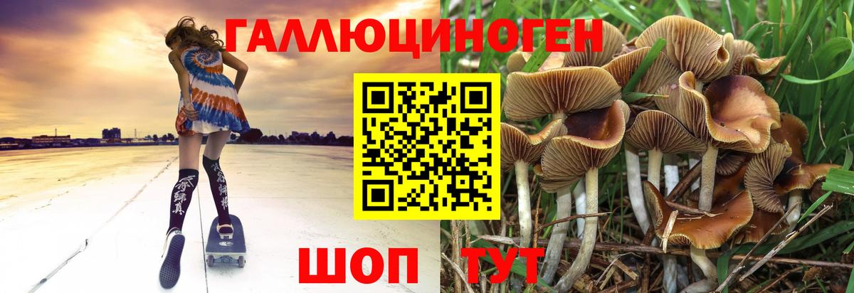 Сунжа  Псилоцибиновые грибы мухоморы  закладка  Вход с VPN  Галлюциногенные грибы мухоморы 