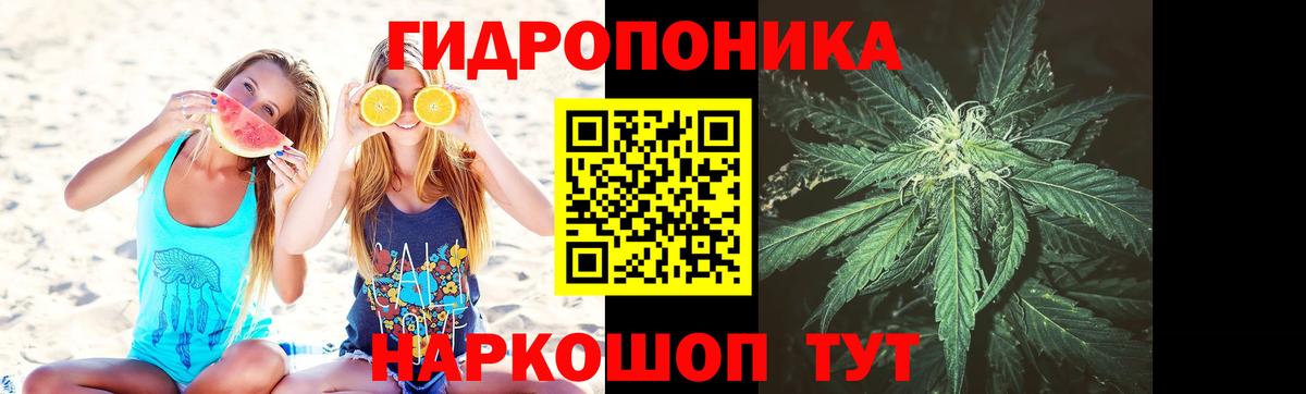 Сунжа  Конопля Ganja  Вход с VPN  Канабис Ganja 
